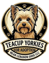 Teacup Yorkies for Adoption Near Lebanon Ohio LLC